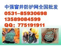 济南市天桥区中强防护网具编织销售处